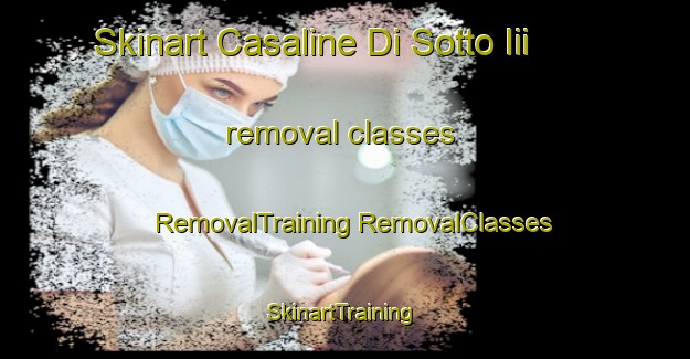 Skinart Casaline Di Sotto Iii removal classes | #RemovalTraining #RemovalClasses #SkinartTraining-Italy