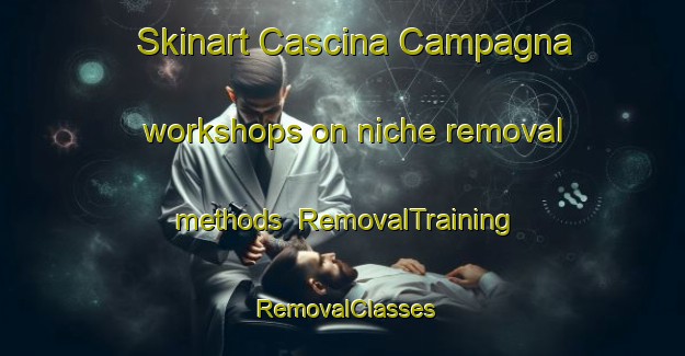 Skinart Cascina Campagna workshops on niche removal methods | RemovalTraining | RemovalClasses | SkinartTraining-Italy