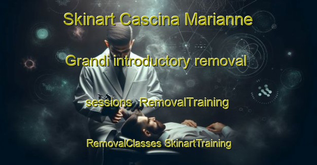 Skinart Cascina Marianne Grandi introductory removal sessions | #RemovalTraining #RemovalClasses #SkinartTraining-Italy