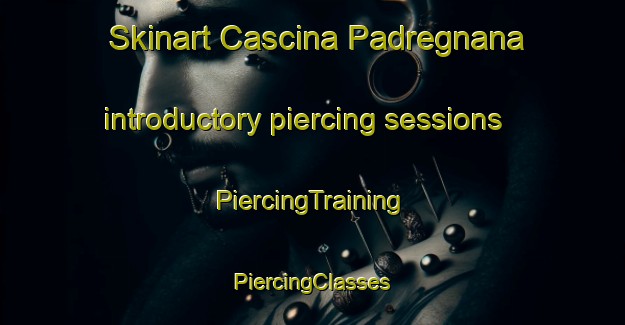 Skinart Cascina Padregnana introductory piercing sessions | #PiercingTraining #PiercingClasses #SkinartTraining-Italy