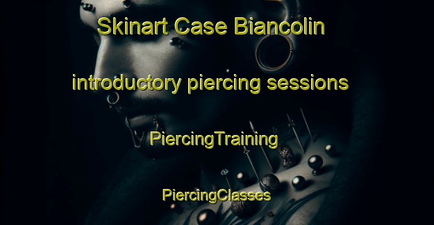 Skinart Case Biancolin introductory piercing sessions | #PiercingTraining #PiercingClasses #SkinartTraining-Italy