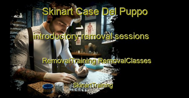 Skinart Case Del Puppo introductory removal sessions | #RemovalTraining #RemovalClasses #SkinartTraining-Italy