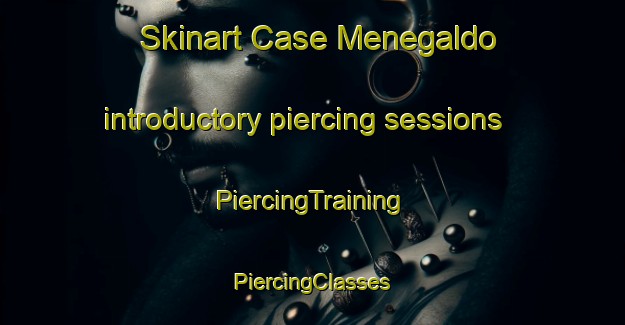 Skinart Case Menegaldo introductory piercing sessions | #PiercingTraining #PiercingClasses #SkinartTraining-Italy