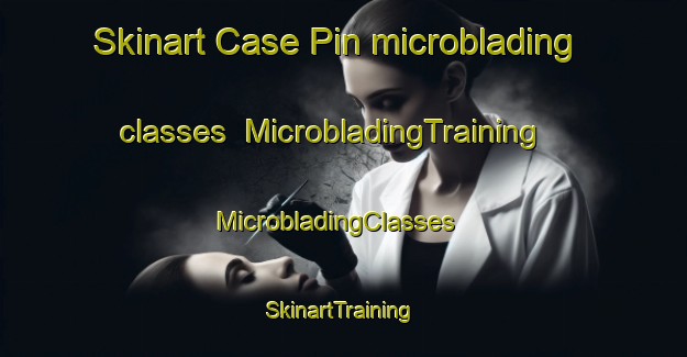 Skinart Case Pin microblading classes | MicrobladingTraining | MicrobladingClasses | SkinartTraining-Italy
