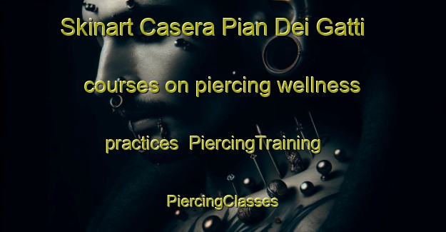 Skinart Casera Pian Dei Gatti courses on piercing wellness practices | #PiercingTraining #PiercingClasses #SkinartTraining-Italy