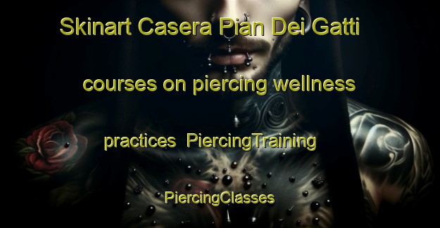 Skinart Casera Pian Dei Gatti courses on piercing wellness practices | #PiercingTraining #PiercingClasses #SkinartTraining-Italy