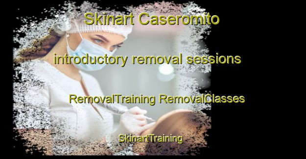 Skinart Caseromito introductory removal sessions | #RemovalTraining #RemovalClasses #SkinartTraining-Italy