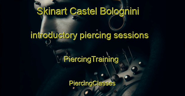 Skinart Castel Bolognini introductory piercing sessions | #PiercingTraining #PiercingClasses #SkinartTraining-Italy