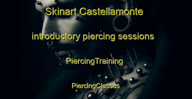 Skinart Castellamonte introductory piercing sessions | #PiercingTraining #PiercingClasses #SkinartTraining-Italy