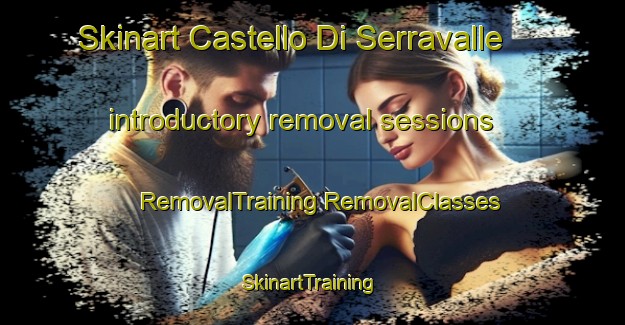 Skinart Castello Di Serravalle introductory removal sessions | #RemovalTraining #RemovalClasses #SkinartTraining-Italy