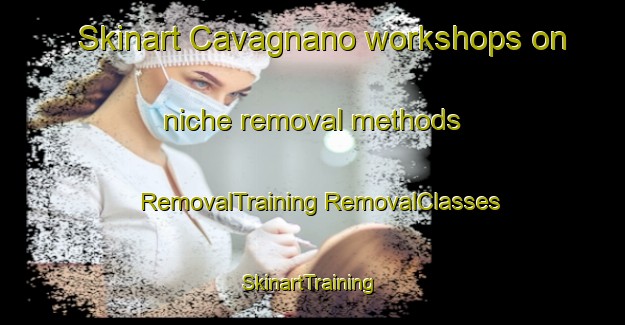 Skinart Cavagnano workshops on niche removal methods | #RemovalTraining #RemovalClasses #SkinartTraining-Italy