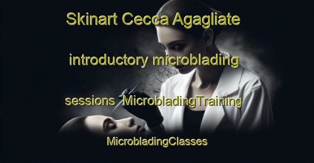 Skinart Cecca Agagliate introductory microblading sessions | #MicrobladingTraining #MicrobladingClasses #SkinartTraining-Italy