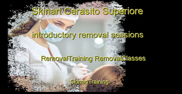 Skinart Cerasito Superiore introductory removal sessions | #RemovalTraining #RemovalClasses #SkinartTraining-Italy