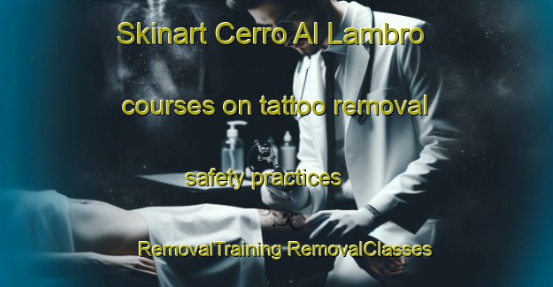 Skinart Cerro Al Lambro courses on tattoo removal safety practices | #RemovalTraining #RemovalClasses #SkinartTraining-Italy