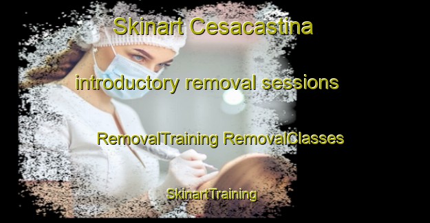 Skinart Cesacastina introductory removal sessions | #RemovalTraining #RemovalClasses #SkinartTraining-Italy