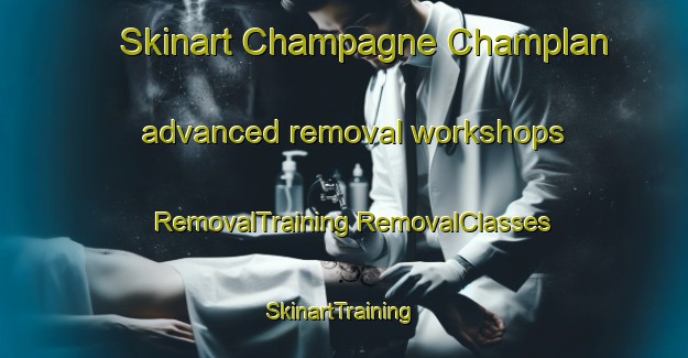 Skinart Champagne Champlan advanced removal workshops | #RemovalTraining #RemovalClasses #SkinartTraining-Italy