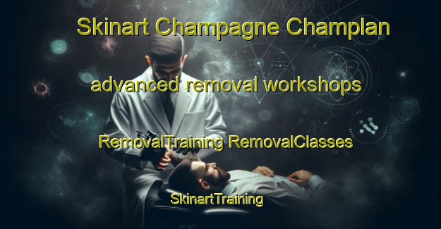 Skinart Champagne Champlan advanced removal workshops | #RemovalTraining #RemovalClasses #SkinartTraining-Italy