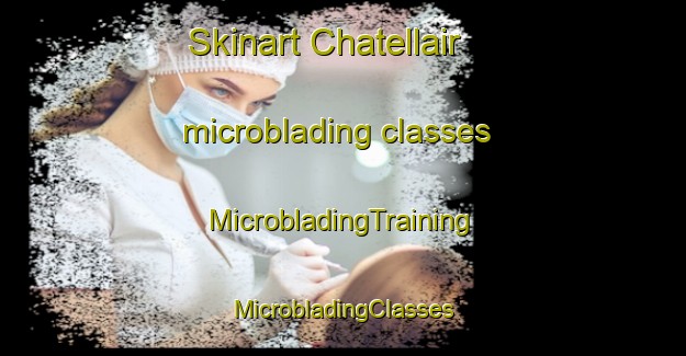 Skinart Chatellair microblading classes | #MicrobladingTraining #MicrobladingClasses #SkinartTraining-Italy