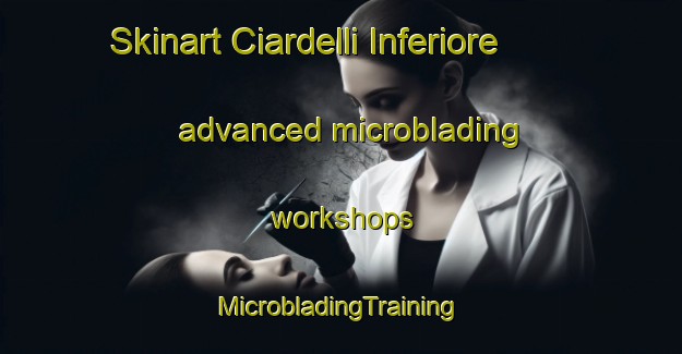 Skinart Ciardelli Inferiore advanced microblading workshops | #MicrobladingTraining #MicrobladingClasses #SkinartTraining-Italy