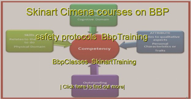 Skinart Cimena courses on BBP safety protocols | BbpTraining | BbpClasses | SkinartTraining-Italy