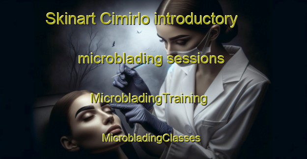 Skinart Cimirlo introductory microblading sessions | MicrobladingTraining | MicrobladingClasses | SkinartTraining-Italy
