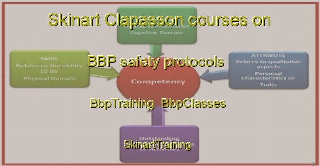 Skinart Clapasson courses on BBP safety protocols | BbpTraining | BbpClasses | SkinartTraining-Italy