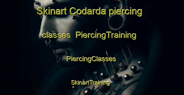 Skinart Codarda piercing classes | #PiercingTraining #PiercingClasses #SkinartTraining-Italy