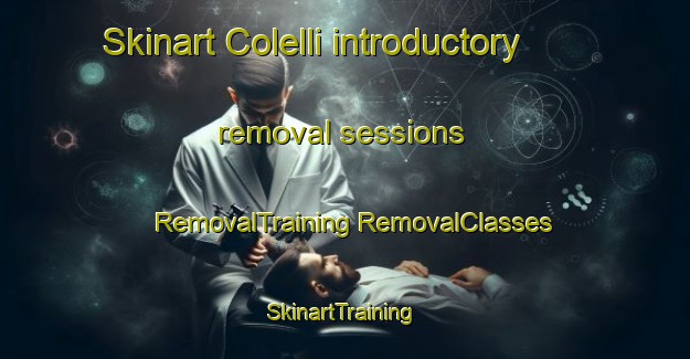 Skinart Colelli introductory removal sessions | #RemovalTraining #RemovalClasses #SkinartTraining-Italy