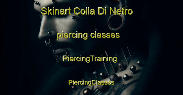 Skinart Colla Di Netro piercing classes | #PiercingTraining #PiercingClasses #SkinartTraining-Italy