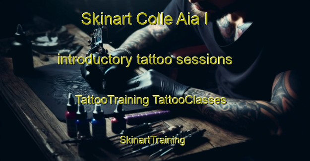 Skinart Colle Aia I introductory tattoo sessions | #TattooTraining #TattooClasses #SkinartTraining-Italy