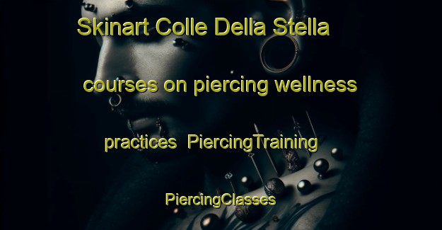 Skinart Colle Della Stella courses on piercing wellness practices | #PiercingTraining #PiercingClasses #SkinartTraining-Italy