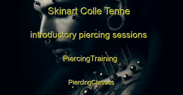 Skinart Colle Tenne introductory piercing sessions | #PiercingTraining #PiercingClasses #SkinartTraining-Italy