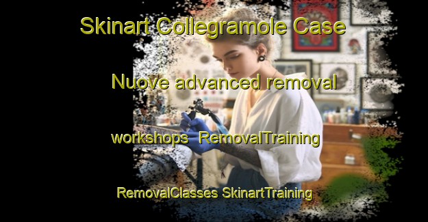 Skinart Collegramole Case Nuove advanced removal workshops | #RemovalTraining #RemovalClasses #SkinartTraining-Italy