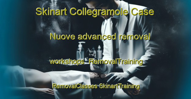 Skinart Collegramole Case Nuove advanced removal workshops | #RemovalTraining #RemovalClasses #SkinartTraining-Italy