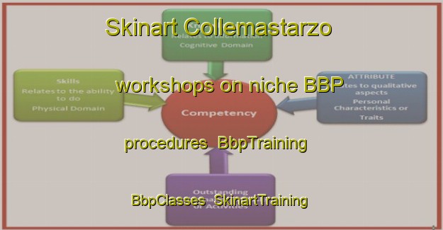 Skinart Collemastarzo workshops on niche BBP procedures | BbpTraining | BbpClasses | SkinartTraining-Italy