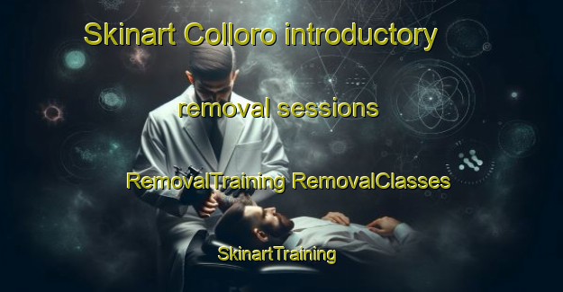 Skinart Colloro introductory removal sessions | #RemovalTraining #RemovalClasses #SkinartTraining-Italy