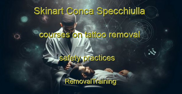 Skinart Conca Specchiulla courses on tattoo removal safety practices | RemovalTraining | RemovalClasses | SkinartTraining-Italy
