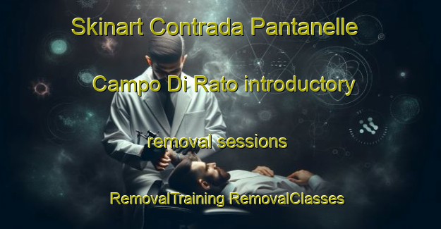 Skinart Contrada Pantanelle Campo Di Rato introductory removal sessions | #RemovalTraining #RemovalClasses #SkinartTraining-Italy