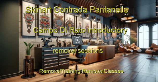 Skinart Contrada Pantanelle Campo Di Rato introductory removal sessions | #RemovalTraining #RemovalClasses #SkinartTraining-Italy