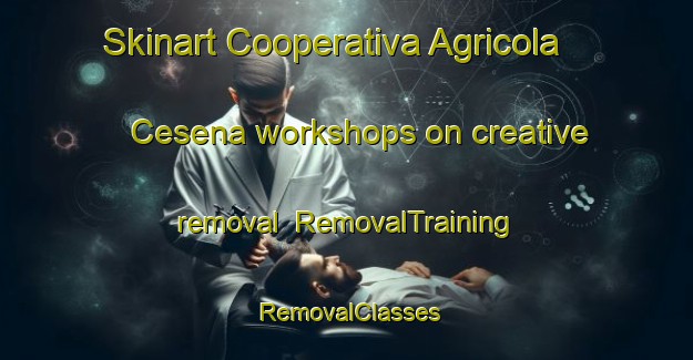 Skinart Cooperativa Agricola Cesena workshops on creative removal | RemovalTraining | RemovalClasses | SkinartTraining-Italy