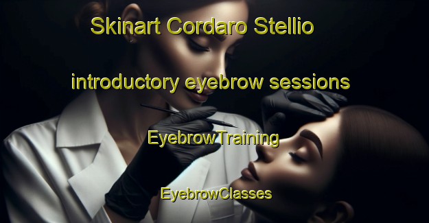 Skinart Cordaro Stellio introductory eyebrow sessions | EyebrowTraining | EyebrowClasses | SkinartTraining-Italy