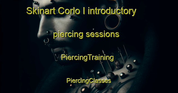 Skinart Corlo I introductory piercing sessions | #PiercingTraining #PiercingClasses #SkinartTraining-Italy