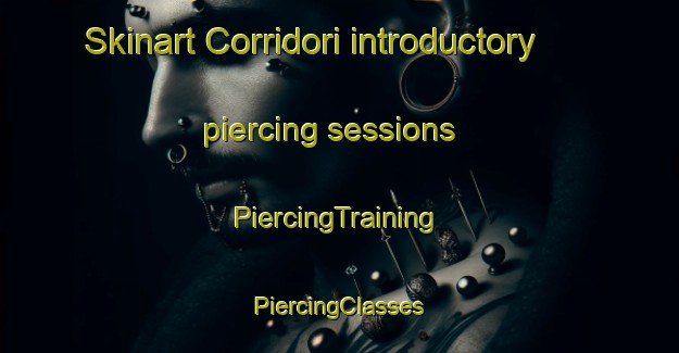 Skinart Corridori introductory piercing sessions | #PiercingTraining #PiercingClasses #SkinartTraining-Italy