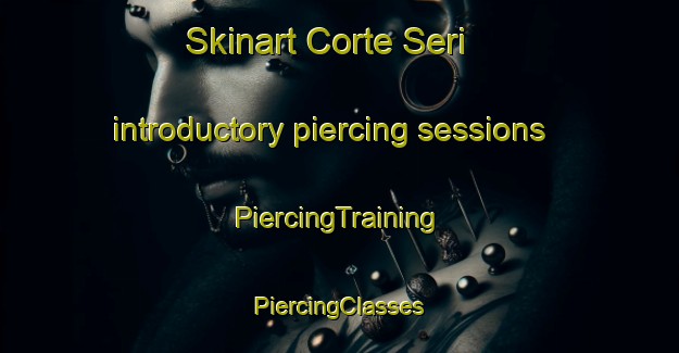 Skinart Corte Seri introductory piercing sessions | #PiercingTraining #PiercingClasses #SkinartTraining-Italy