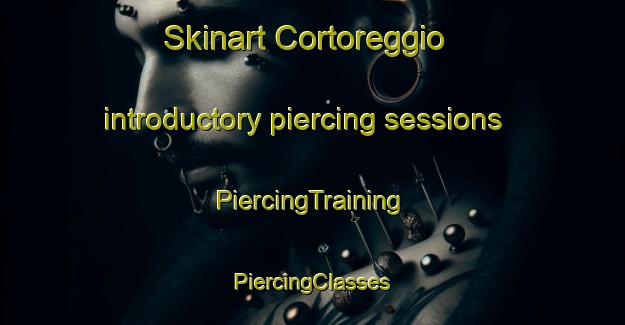 Skinart Cortoreggio introductory piercing sessions | #PiercingTraining #PiercingClasses #SkinartTraining-Italy