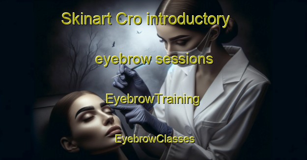 Skinart Cro introductory eyebrow sessions | EyebrowTraining | EyebrowClasses | SkinartTraining-Italy