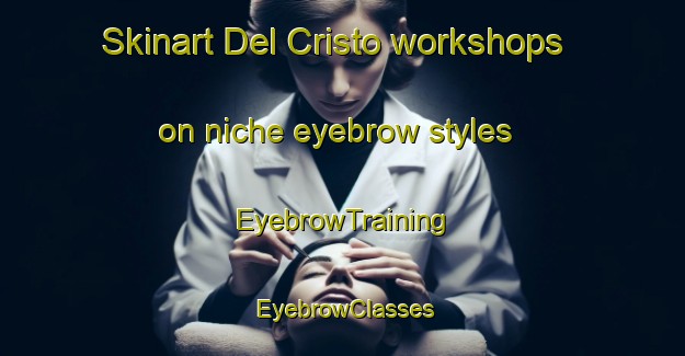 Skinart Del Cristo workshops on niche eyebrow styles | EyebrowTraining | EyebrowClasses | SkinartTraining-Italy