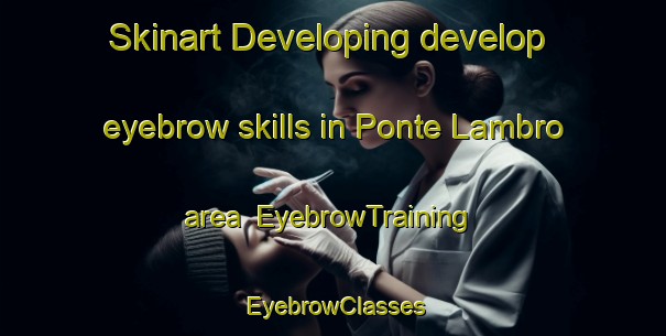 Skinart Developing develop eyebrow skills in Ponte Lambro area | EyebrowTraining | EyebrowClasses | SkinartTraining-Italy