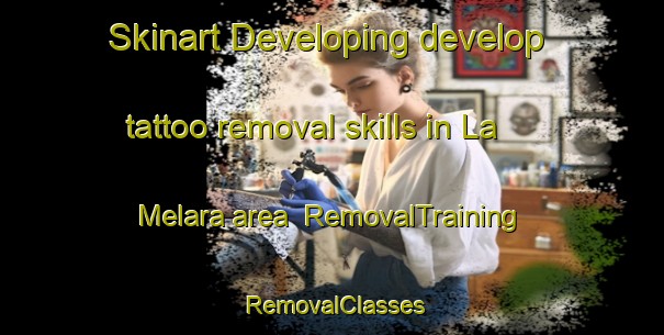 Skinart Developing develop tattoo removal skills in La Melara area | RemovalTraining | RemovalClasses | SkinartTraining-Italy