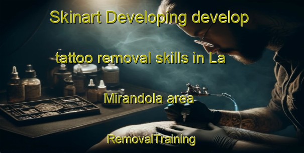 Skinart Developing develop tattoo removal skills in La Mirandola area | RemovalTraining | RemovalClasses | SkinartTraining-Italy